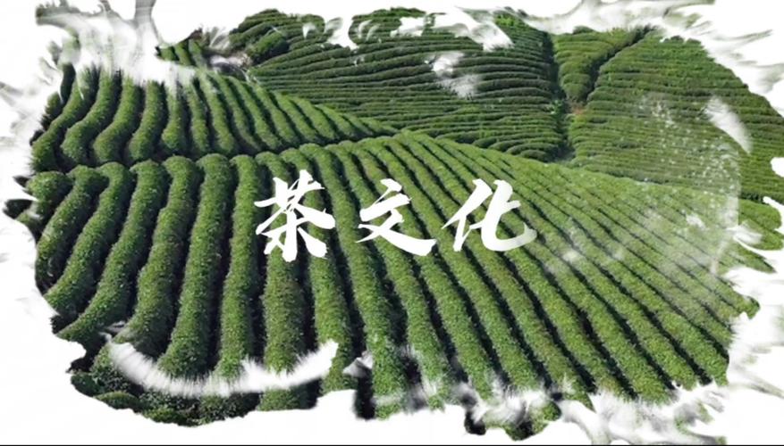 100集纪录片茶文化视频截图