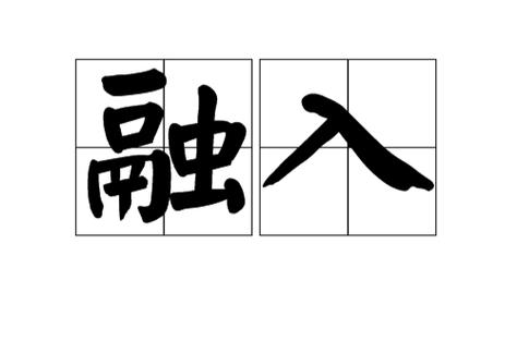 融入融合