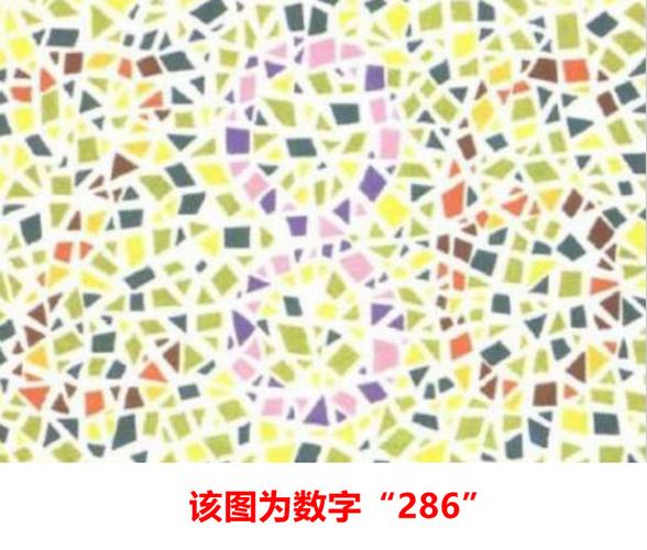 换驾驶证测试色盲图片缩略图