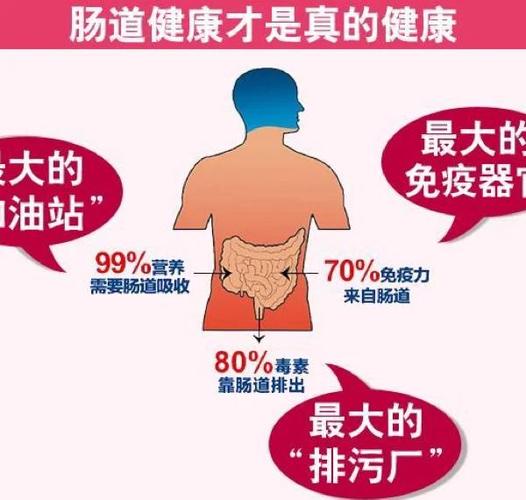 女朋友经常说拉肚子