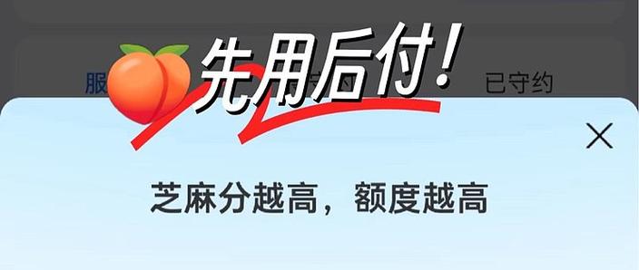 先用后付如何退货截图