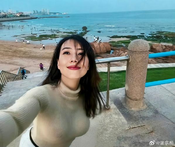 高圆圆截图