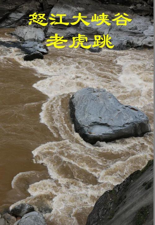 老虎线是身体哪个部位