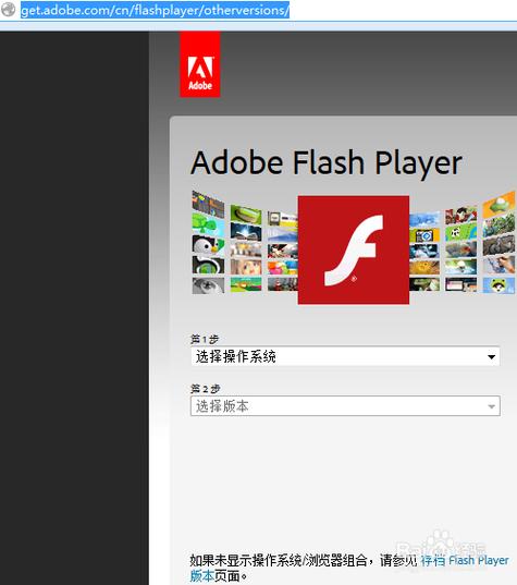 flashplayer浏览器图标
