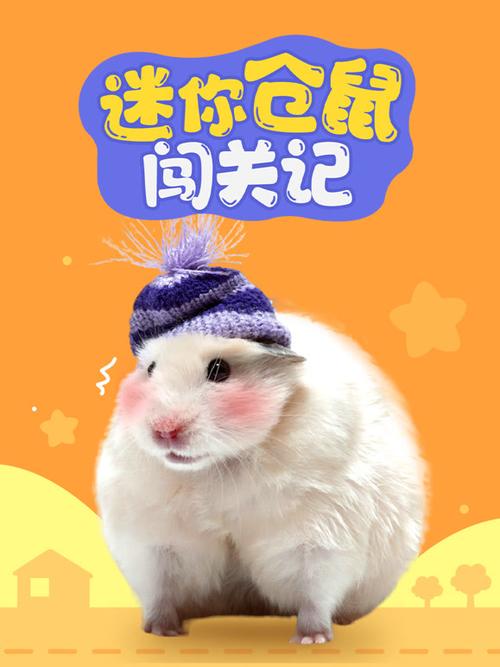 迷你仓鼠闯关记图标