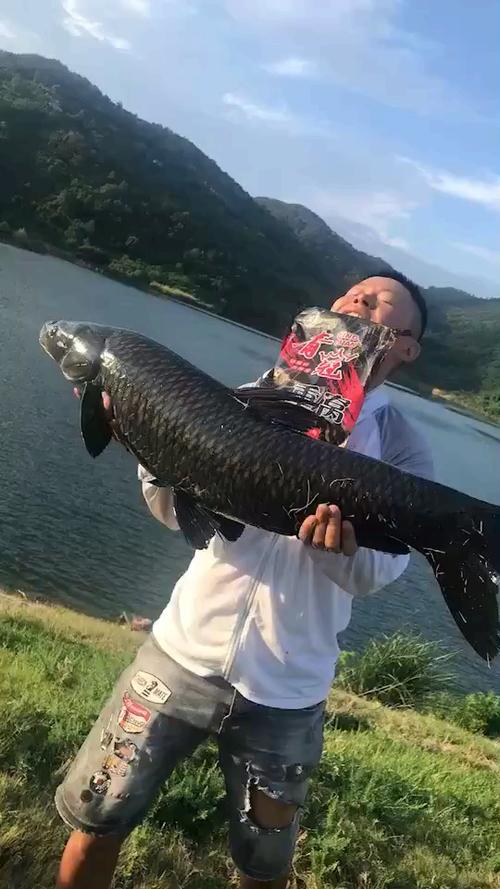 看看大鱼截图