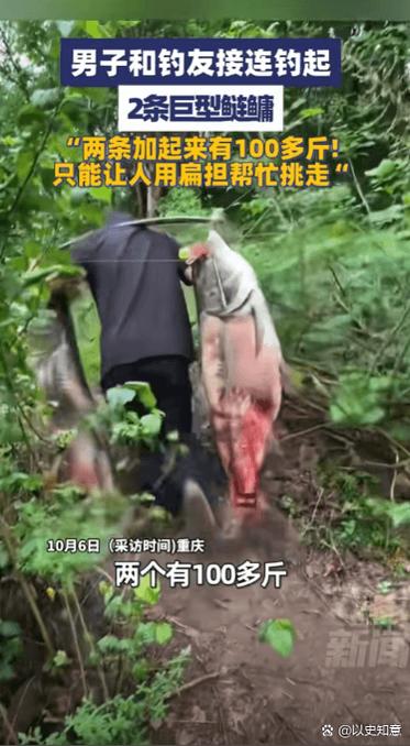 20公斤一般人能搬动吗缩略图