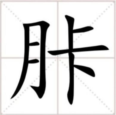 胩是指的哪个部位