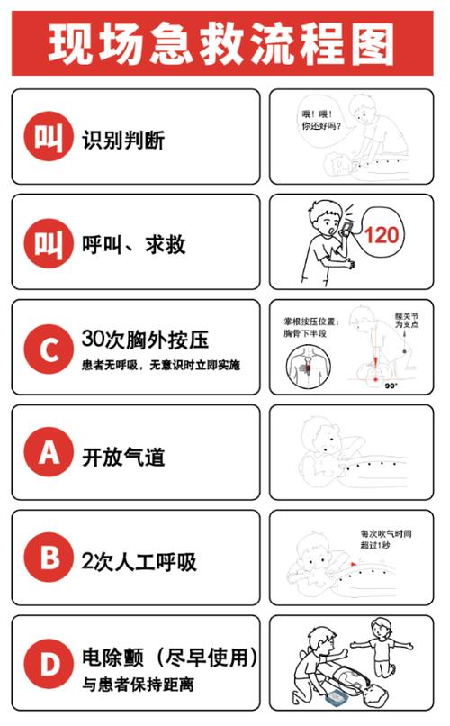 除颤仪使用方法图解截图