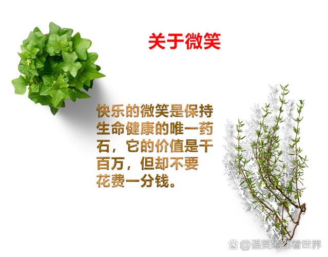 每天心情好一点每天快乐多一点缩略图