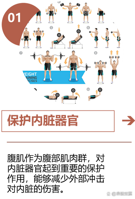 健身腹肌训练教程