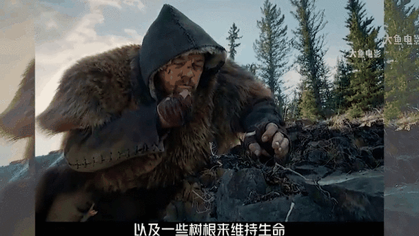 荒野猎人不卡在线观看缩略图