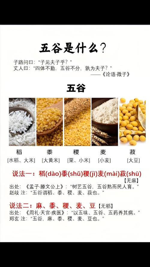 谷圈几配图标