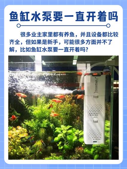 鱼缸水泵要一直开着吗缩略图