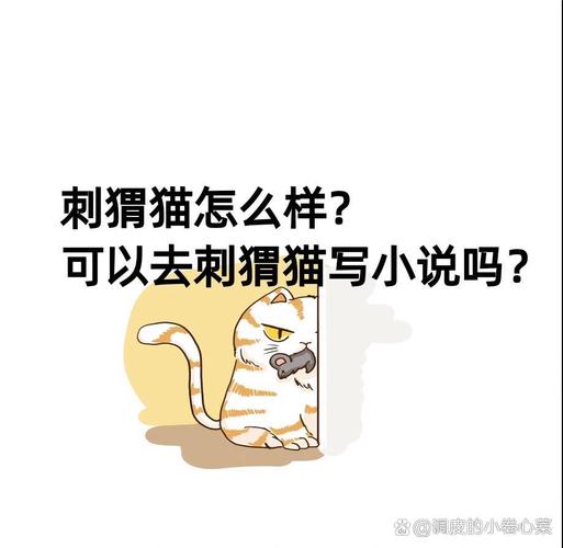 作者刺猬猫写的小说