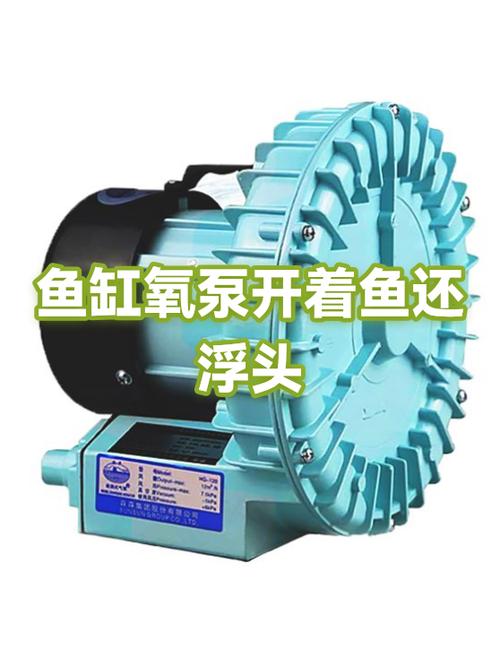 氧气泵一直开着鱼累吗