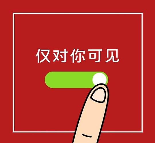 仅你可见对方会看到有什么标志吗游戏截图
