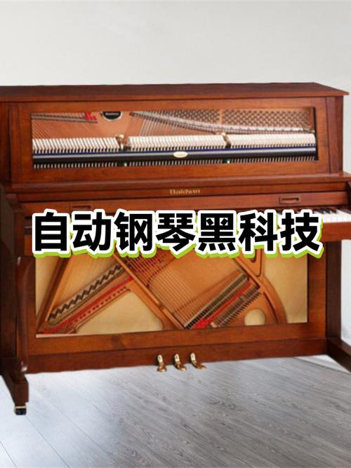 自动弹琴安全版下载缩略图