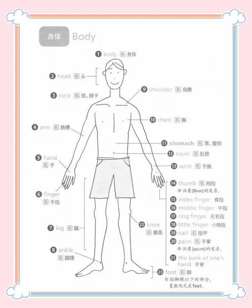cuz是身体哪个部位缩略图