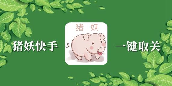 快手清空关注猪妖截图