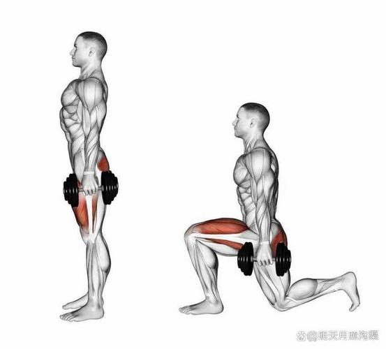 如何快速锻炼肌肉缩略图