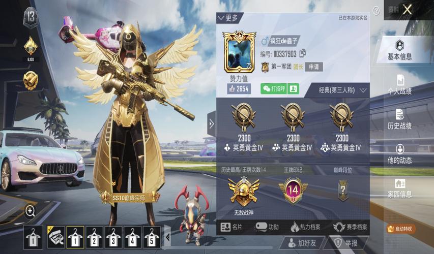 和平精英兵团是干什么的截图