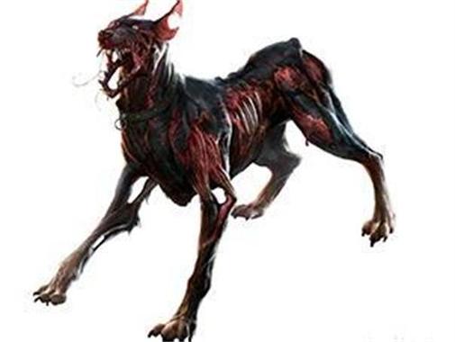 生化危机2丧尸犬