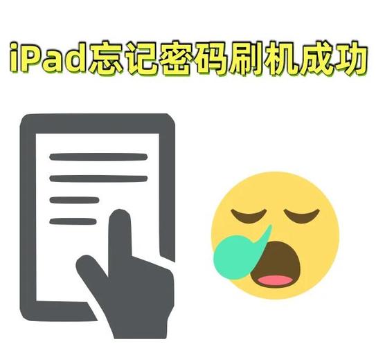输入ipad密码图标