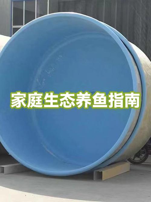 什么鱼好养 家庭养鱼缩略图