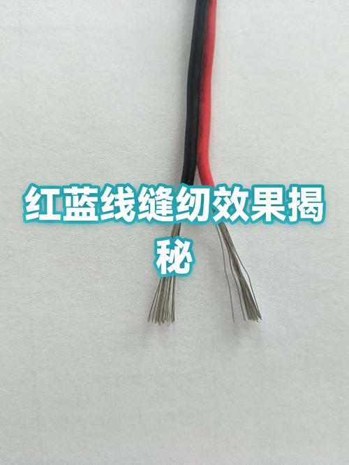 显示器有蓝色竖线截图