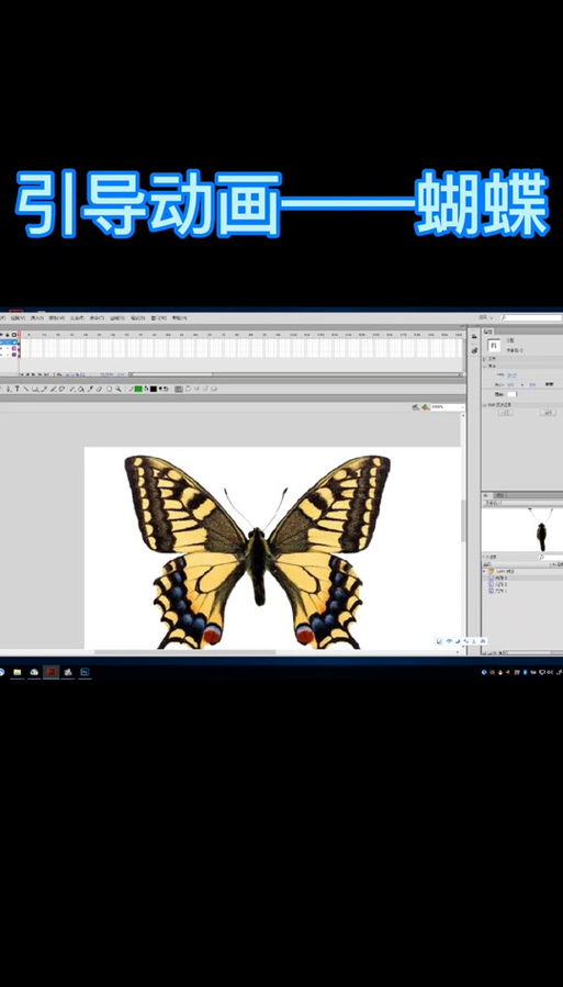 animate引导层动画制作步骤截图