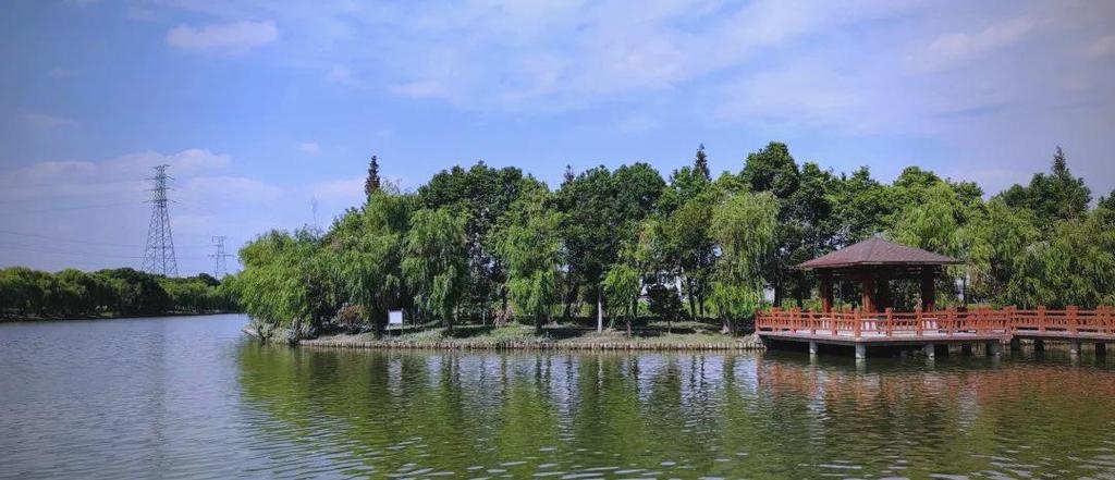 古代树森林海边在哪里图标