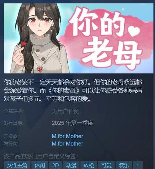 steam妈妈困在洗衣机游戏攻略游戏截图