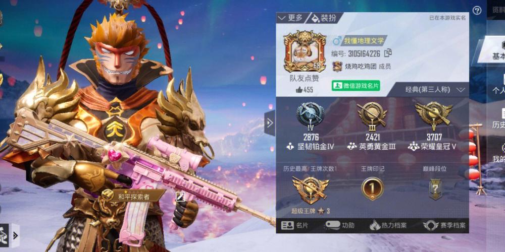 和平精英神罚直装V2