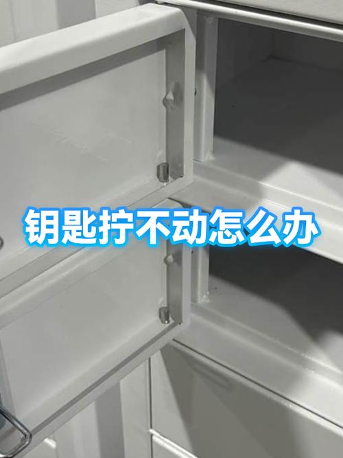 钥匙拧不动门锁的原因游戏截图