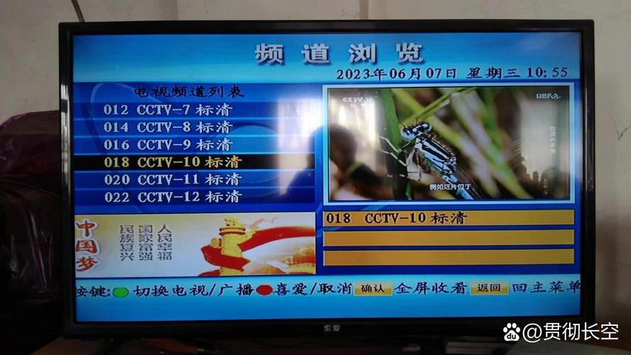 2026中国卫星电视免费节目