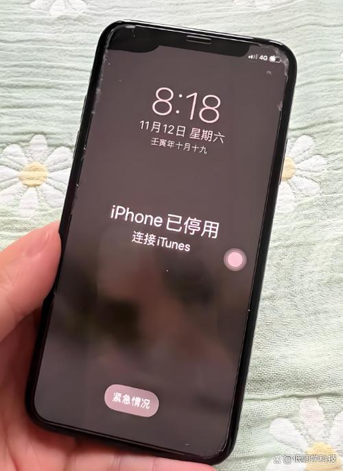 苹果手机设备已启用内容限制