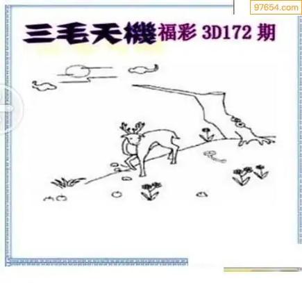 三毛图库3d三毛图谜