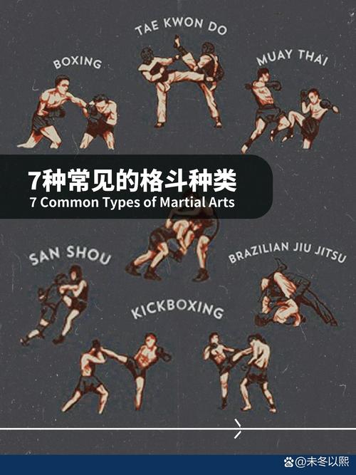 狂热格斗的意思截图