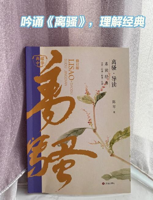 南莲书斋小说