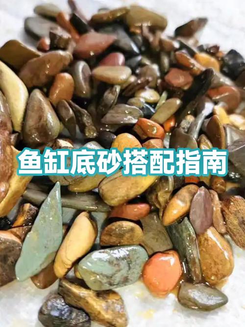鱼缸底部铺什么好缩略图
