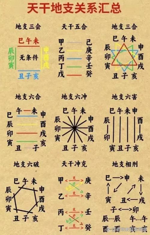 万物土中生万物土中消截图