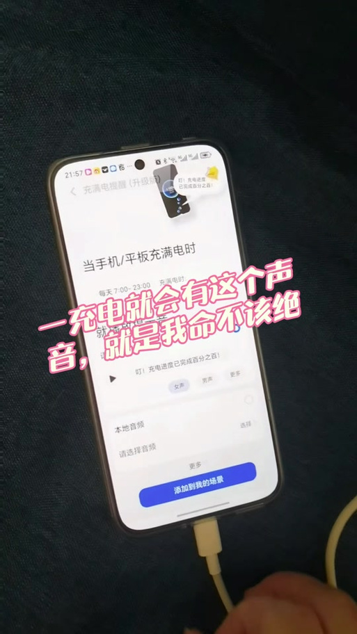 荣耀手机充满电提示音怎么设置截图