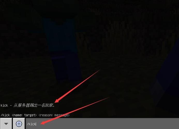 完美踢人指令截图