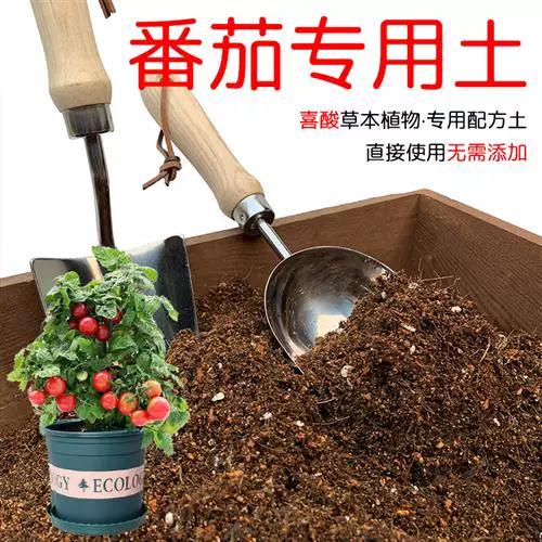 盆栽番茄用什么土截图