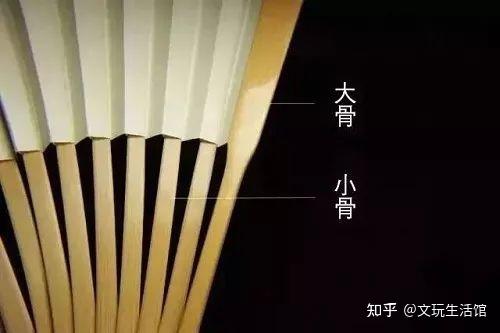 扇骨是指猪的哪个位置