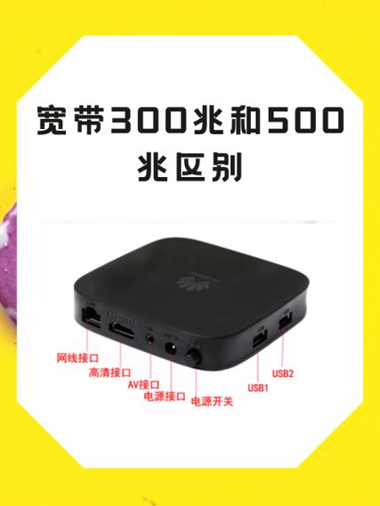 300兆和500兆缩略图