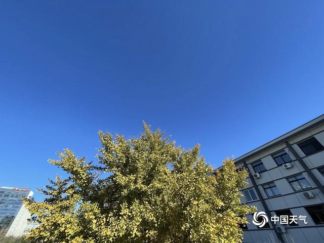 无广告的天气软件哪个好用