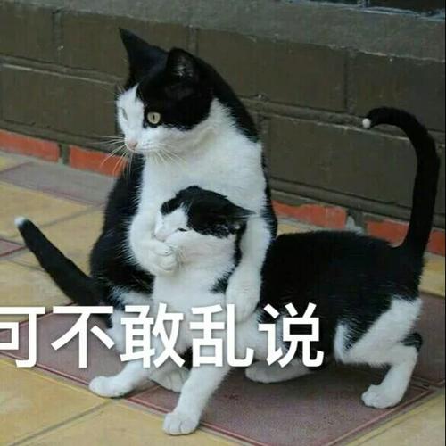 怎么知道对方偷偷关注你