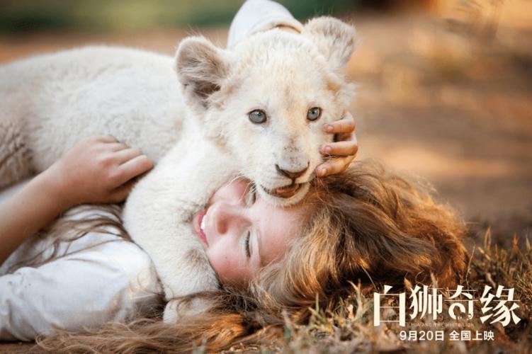 狮子座在线观看完整版图标